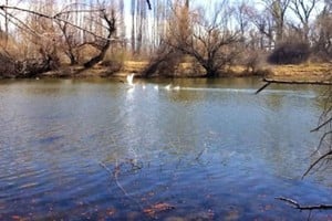 un adolescente falleció mientras se bañaba en La Herradura.