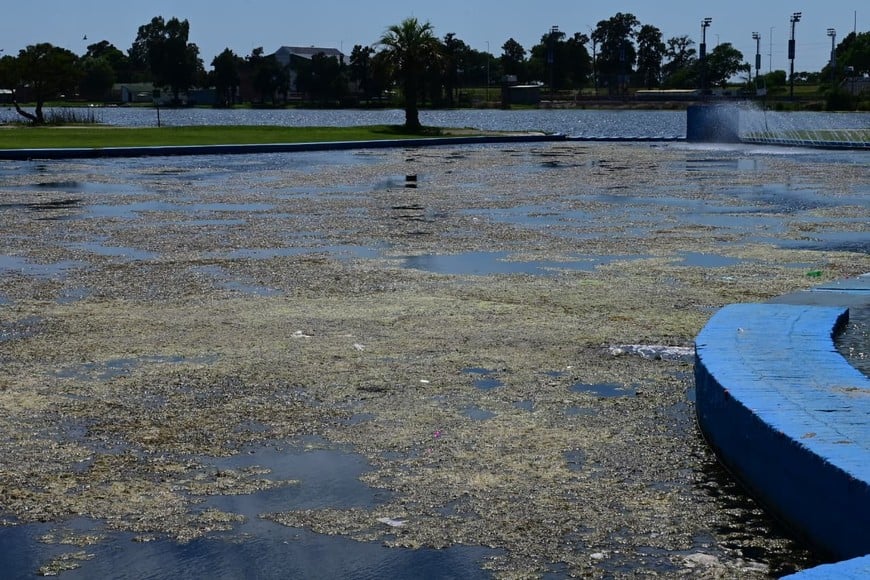 La falta de insumos para el tratamiento del agua genera preocupación en plena temporada estival.