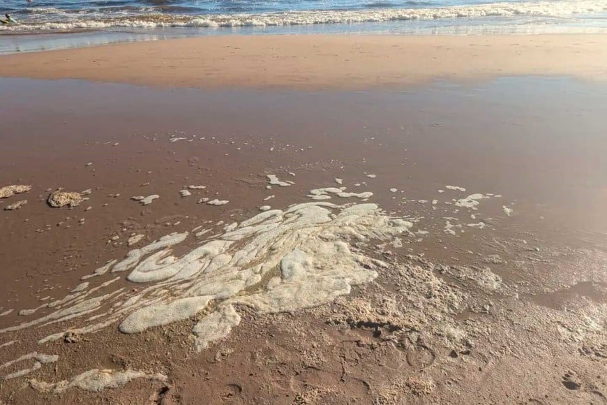 Brindaron una serie de recomendaciones a raíz de este fenómeno. Gentileza: El País