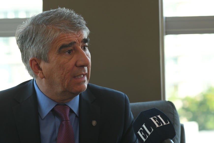 . Crédito: Manuel Fabatía