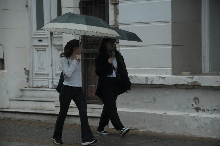 Imagen ilustrativa. Crédito: Manuel Fabatía