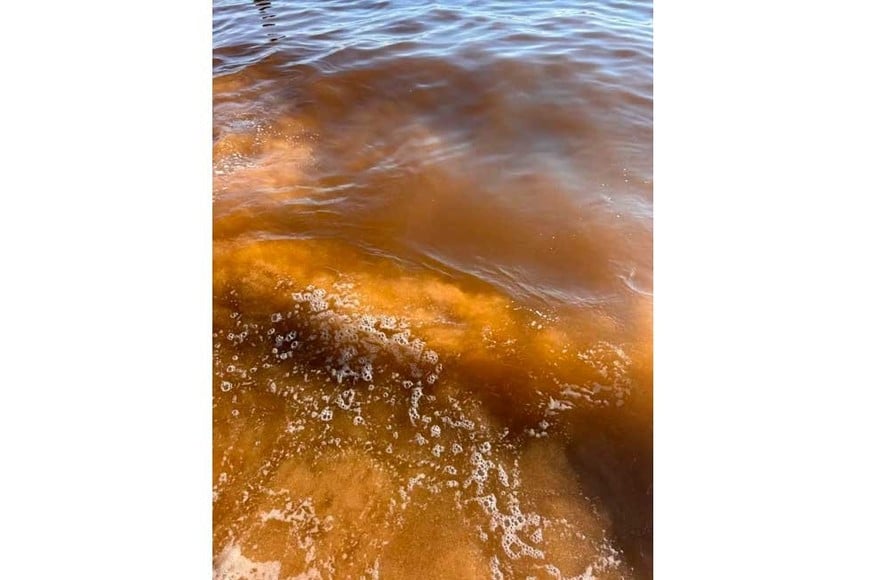 Así lució el agua en Punta del Este, entre finales del 2025 y principios del 2026. Gentileza: El País