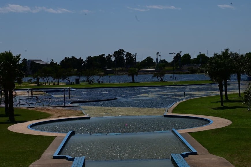 Los piletones del Parque Sur presentan aguas turbias por la acumulación de repollitos y residuos.