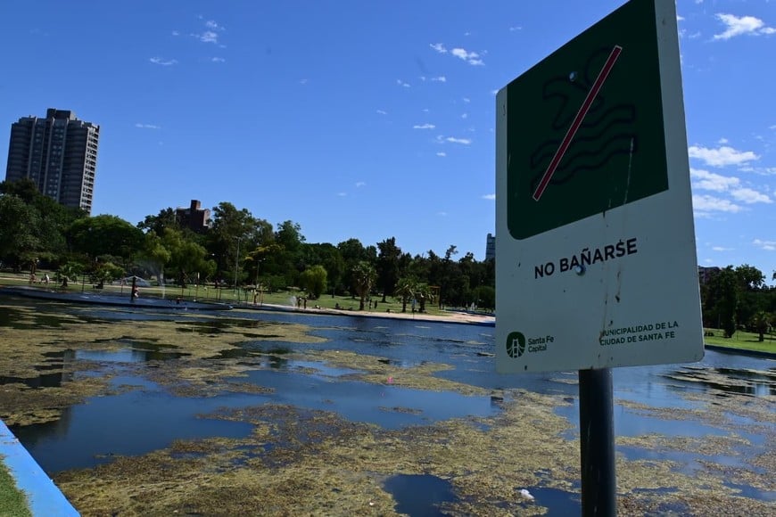 Asistentes habituales denuncian presencia de mosquitos y olores intensos en el sector.