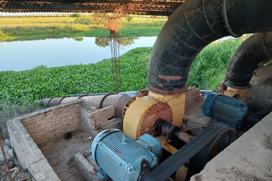 La Mesa Arrocera pone en alerta por la crisis energética del sector