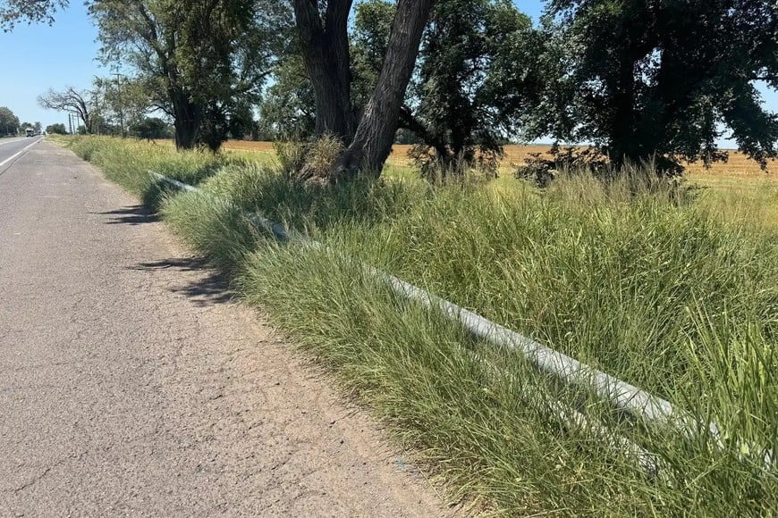 La altura de los pastizales impide leer los letreros viales.