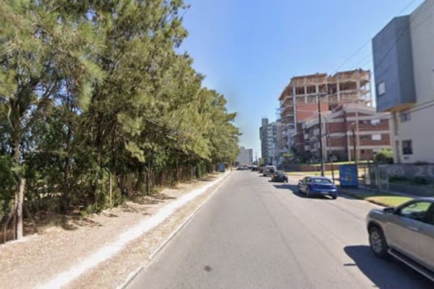 La zona donde se produzco el hallazgo.