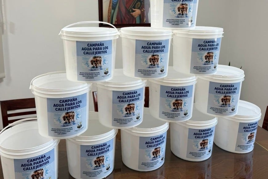 “Agua para los Callejeritos” no solo busca asistir a los animales, sino también generar conciencia y contagiar el espíritu solidario entre los vecinos
