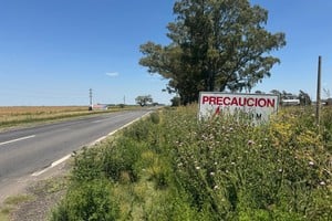 La altura de los pastizales impide leer los letreros viales.