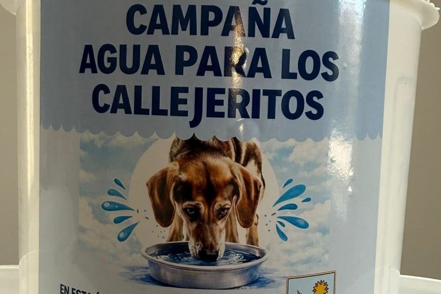 “Agua para los Callejeritos” no solo busca asistir a los animales, sino también generar conciencia y contagiar el espíritu solidario entre los vecinos