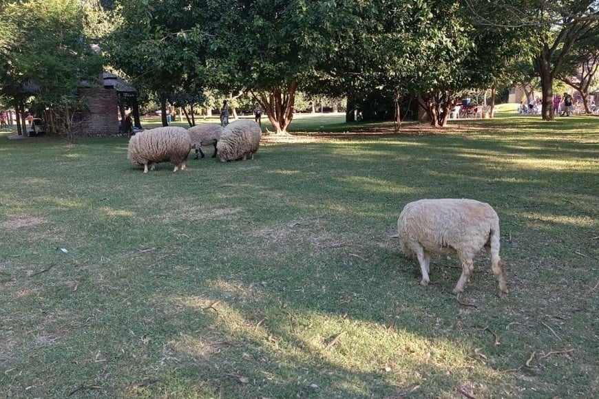 Operativo policial en un complejo de cabañas en Colastiné Norte. Foto Gentileza