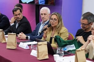 Tonero fue encargada de exponer ante el gabinete ampliado, días atrás, parte del proceso de digitalización en marcha. Foto: Gobierno de Santa Fe