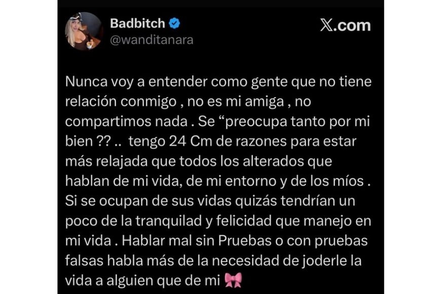 El fuerte descargo que hizo Wanda Nara en sus redes y luego eliminó.