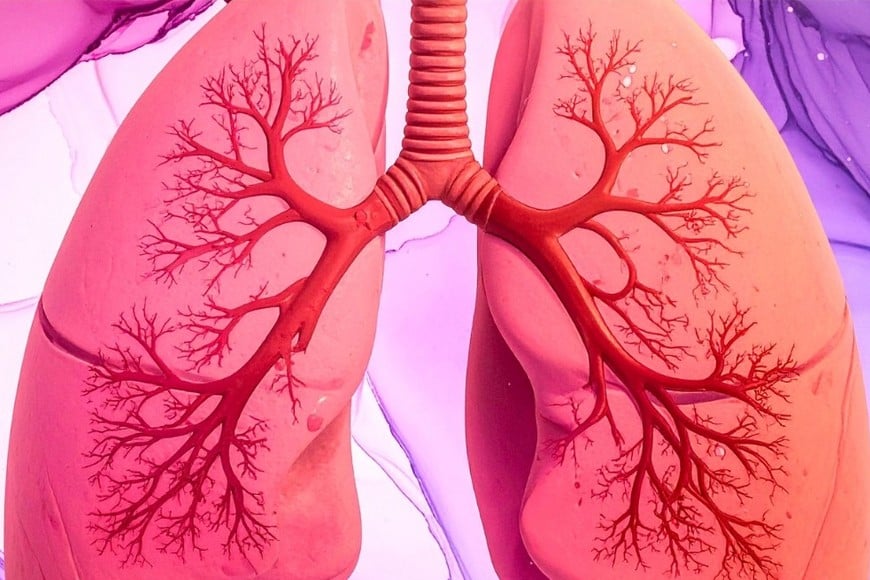 Su circulación se da en un escenario donde conviven múltiples virus respiratorios