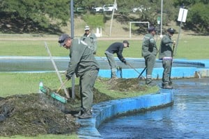 Personal municipal realiza tareas manuales de mantenimiento. Crédito: Guillermo Di Salvatore.