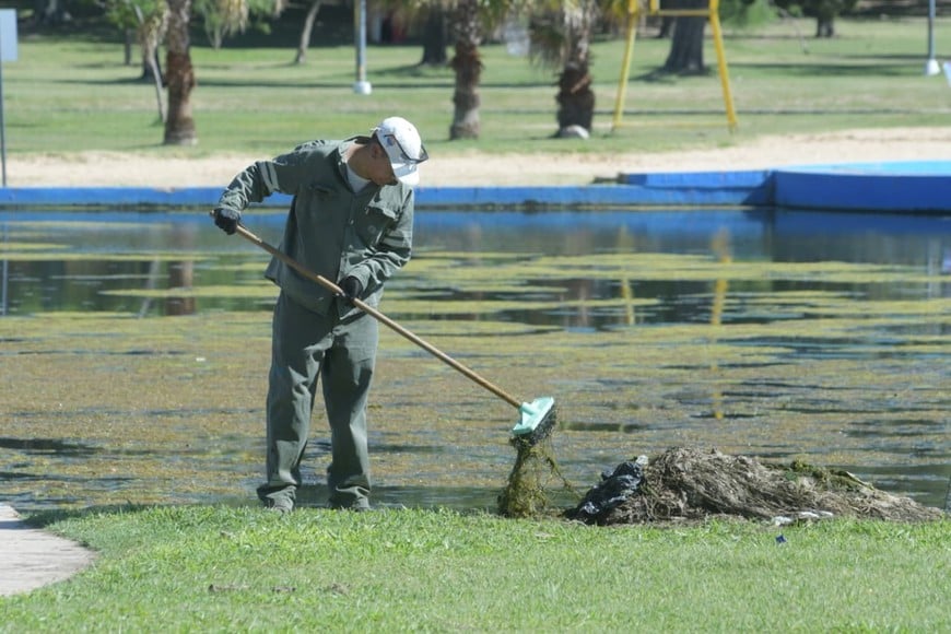 Crédito: Guillermo Di Salvatore.