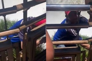 El hombre arriesgó su vida por un sombrero y podría recibir sanciones.