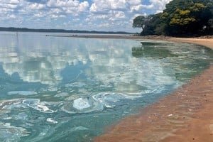 Cianobacterias en el río Uruguay: un problema ambiental que ya no es solo estacional