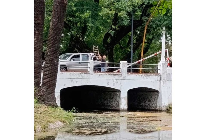 El conductor de una VW Amarok llevaba una escalera en la caja.