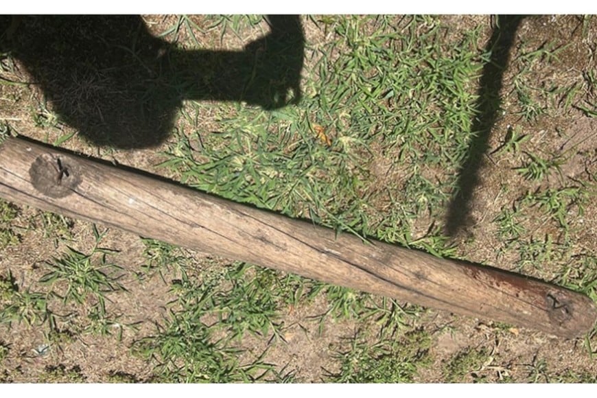 El arma homicida, un palo con clavos en los extremos.