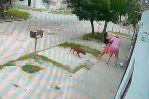 El momento de la demencial agresión. Foto: Gentileza