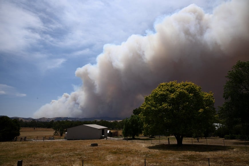 A plume of smoke from the Longwood bushfire rises over the horizon, between Seymour and Yea, as out-of-control fires burn across Victoria, Australia, January 9, 2026. AAP/Joel Carrett via REUTERS ATTENTION EDITORS - THIS IMAGE WAS PROVIDED BY A THIRD PARTY. NO RESALES. NO ARCHIVE. AUSTRALIA OUT. NEW ZEALAND OUT. NO COMMERCIAL OR EDITORIAL SALES IN NEW ZEALAND. NO COMMERCIAL OR EDITORIAL SALES IN AUSTRALIA.