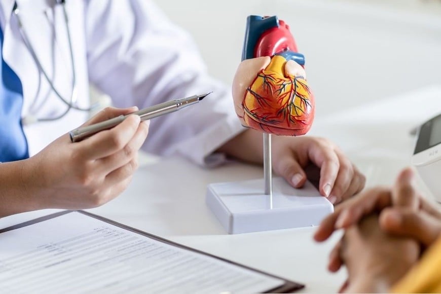 Ahora, además, se incorporaron cirugías a adultos con cardiopatías congénitas. "Ese fue un salto enorme", dijo César Pauloni. Foto: Agencia