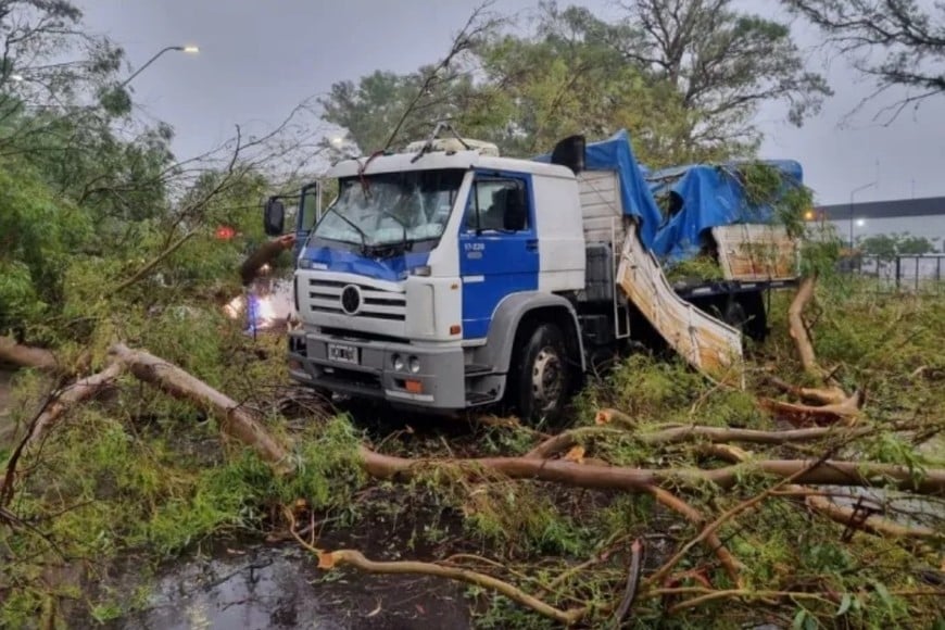 Un eucalipto cayó sobre un camión en la RN 11, frente al Hospital Nuevo Reconquista.