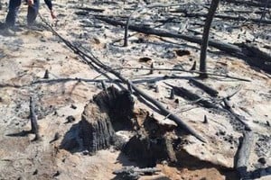 La foto que confirma que los incendios en Chubut fueron intencionales.