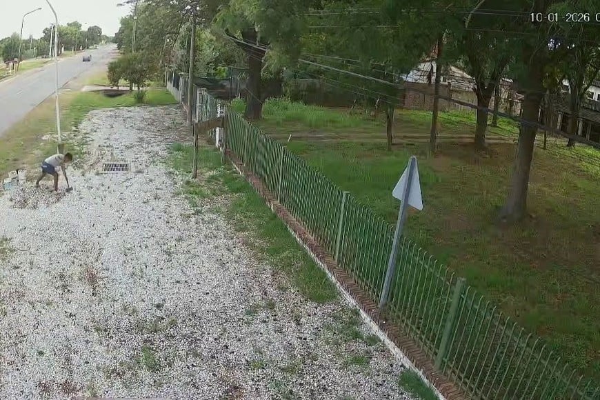El hecho quedó registrado en una cámara.
