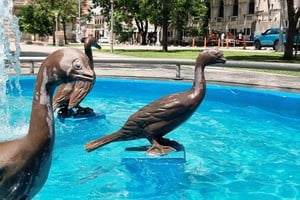 Casi la totalidad de las esculturas presenta signos de vandalismo y deterioro, con picos rotos, cuellos fracturados, piezas faltantes, golpes visibles y superficies muy desgastadas. Fotos. Crédito. Gustavo Ocampo.