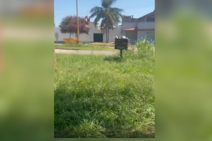 Vecinos reclaman limpieza, corte de pasto y mejoras para garantizar la seguridad de los chicos.
