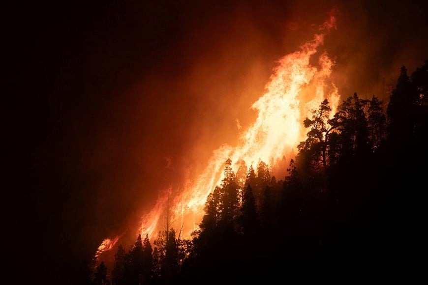 Las autoridades provinciales investigan el origen de los focos