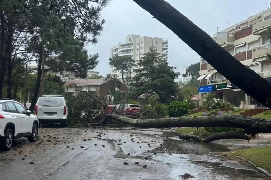 Comenzó a sentirse desde el viernes y se intensificó el sábado