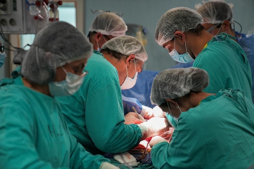 El Cudaio coordinó en 2025 el trabajo de 30 efectores públicos y privados en toda la provincia.