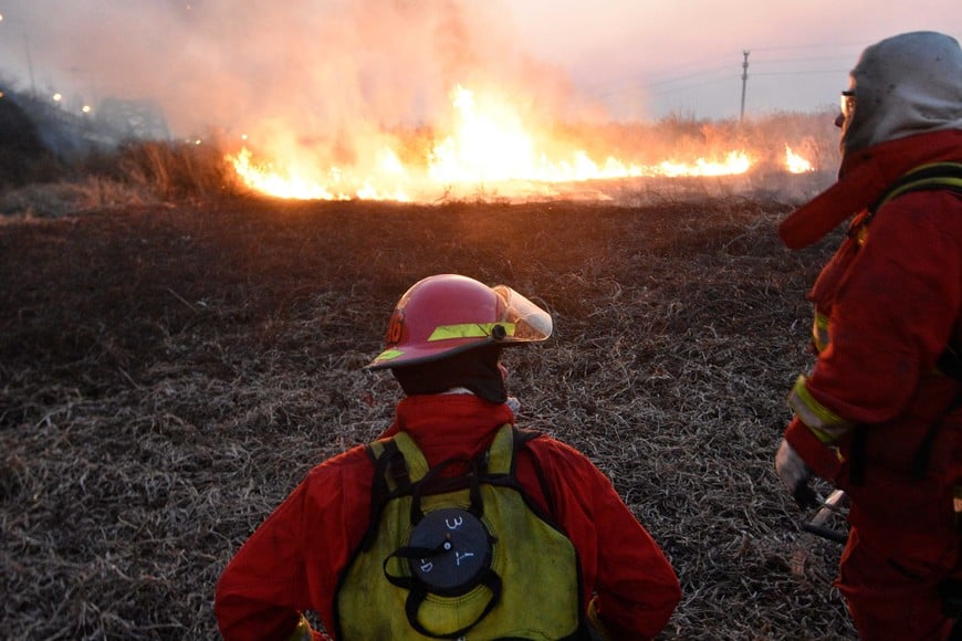 El estudio se hizo tras incendios en los bañados del río Salado. Foto: Manuel Fabatía