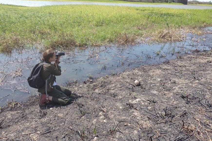 El área natural protegida ubicada en la Isla de Los Sapos, debajo del Puente Carretero, es donde se realizaron los muestreos de suelos con distinto historial de incendios.