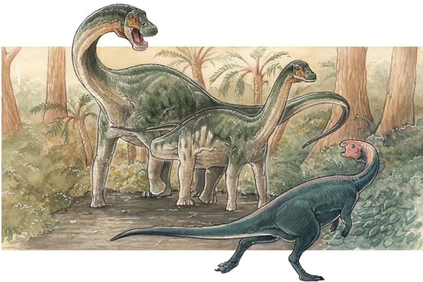 Ilustración de cómo habría sido el titanosaurio Yeneen houssayi.