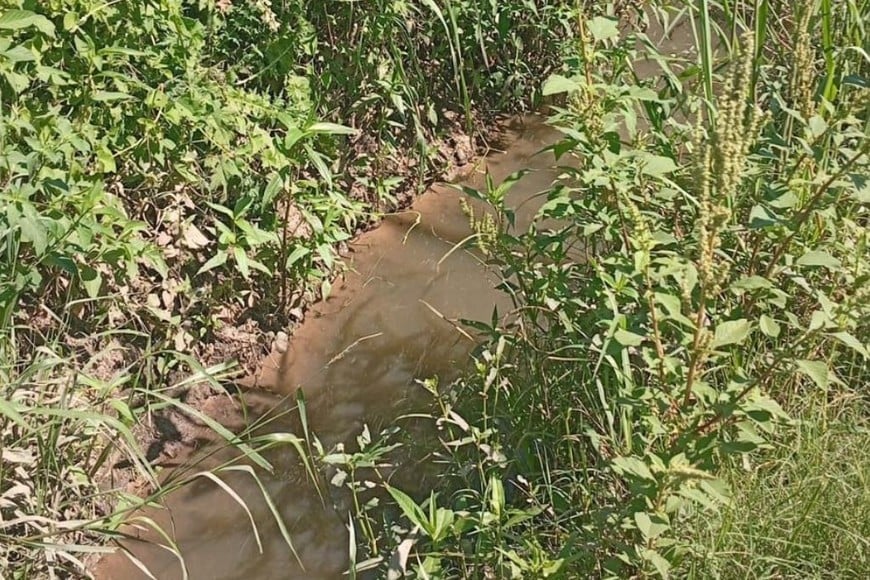 Santa Rita II - Reclamo - Enero 2025