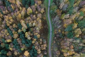 A drone view of cyclists riding between trees as they display their Autumn colours near Saint Helens, Britain, November 10, 2025. REUTERS/Phil Noble     TPX IMAGES OF THE DAY