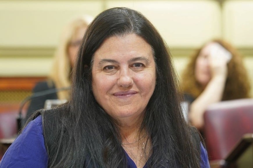 Fernanda Castellani consolidó en 2025 una agenda legislativa con identidad propia