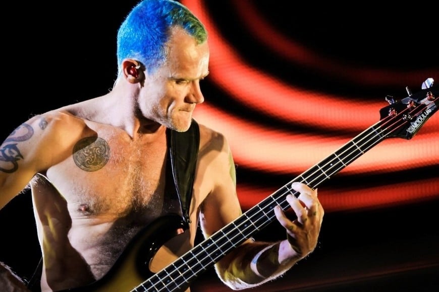flea