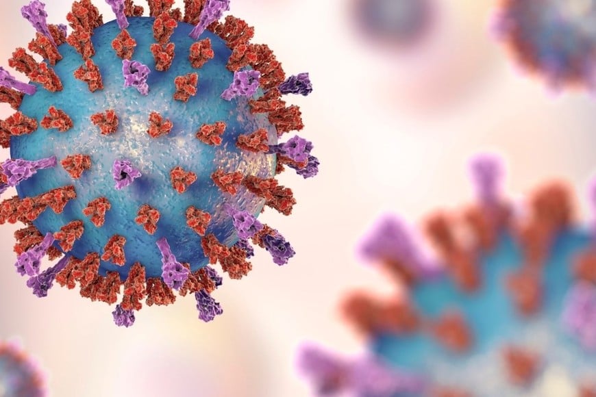 El Virus Sincicial Respiratorio (VSR) circula entre los meses de abril y septiembre