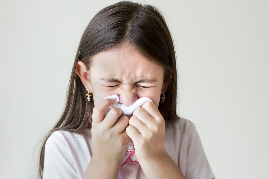 La clave es utilizar la información del hemisferio norte como una ventana de tiempo para ajustar procesos