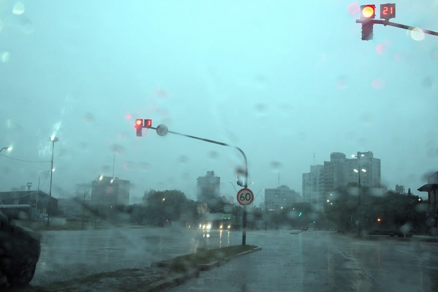 Créditos:  Guillermo Di Salvatore