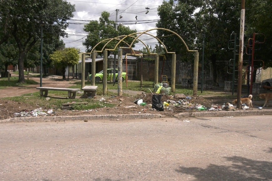 La basura se extiende sobre el camino y dificulta la circulación.