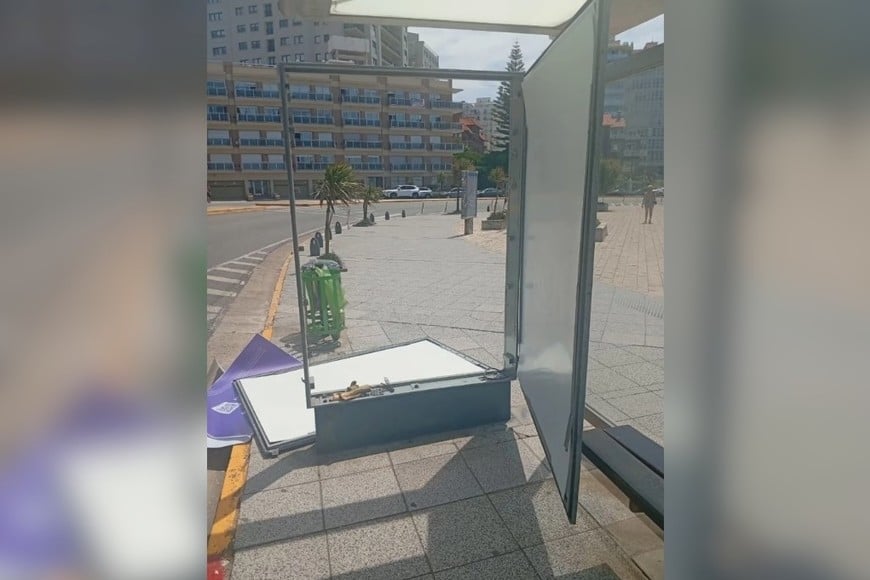 Mar del Plata: vientos de más de 70 km/h causaron destrozos y un herido