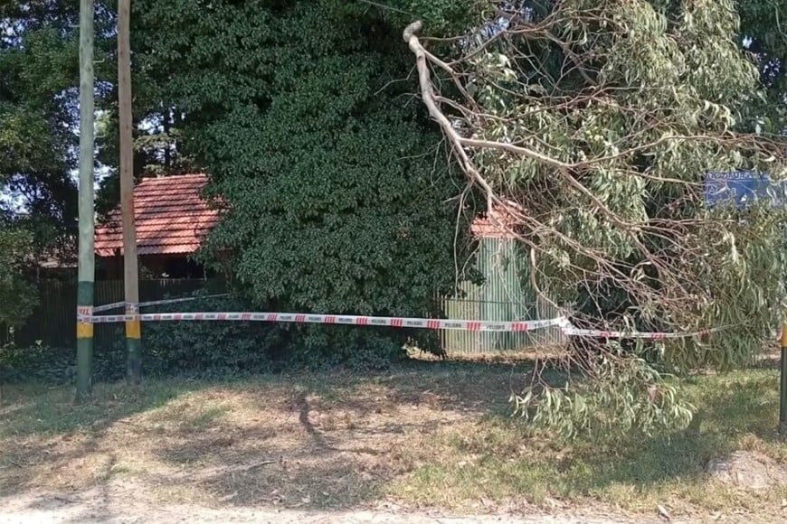 Mar del Plata: vientos de más de 70 km/h causaron destrozos y un herido