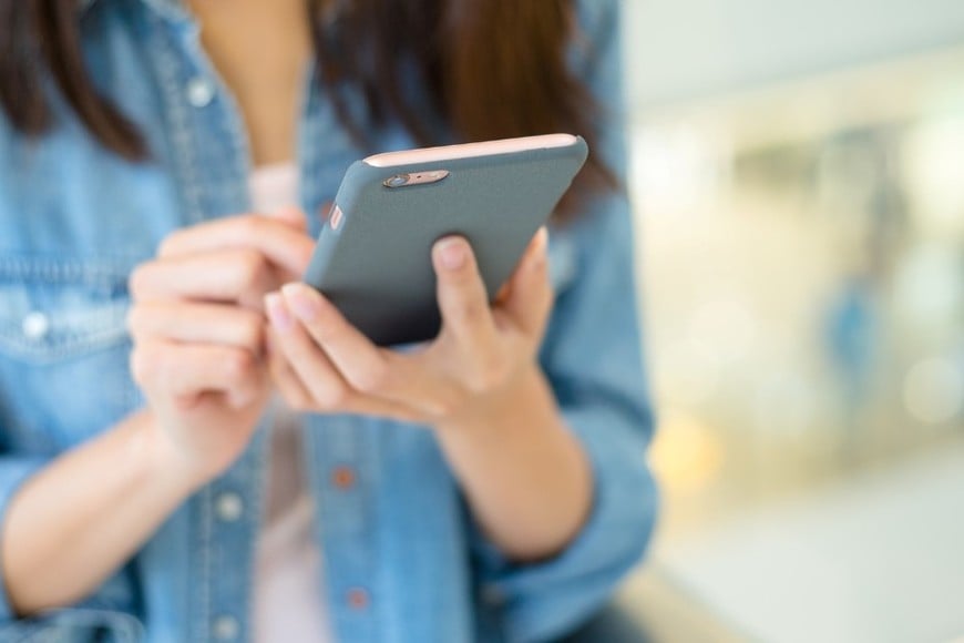 La brecha de precios entre Argentina y otros mercados se explica por múltiples factores.