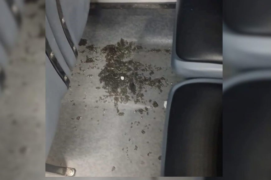 vandalismo colectivo